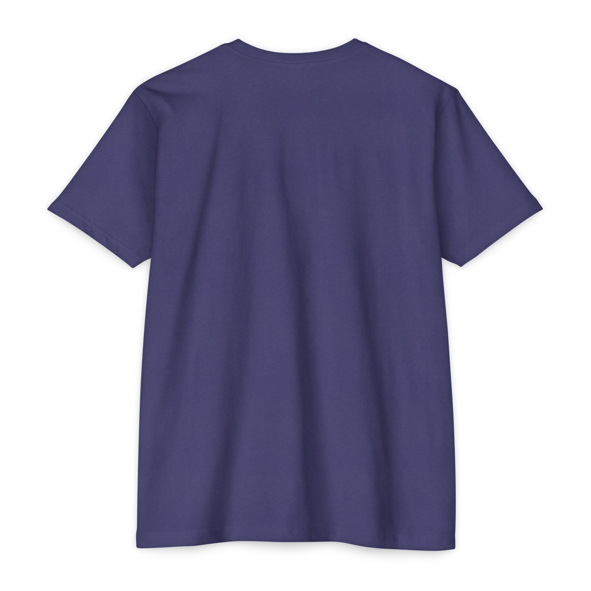 Anime Pillowgirl T-Shirt — Sexy Lingerie Art Tee