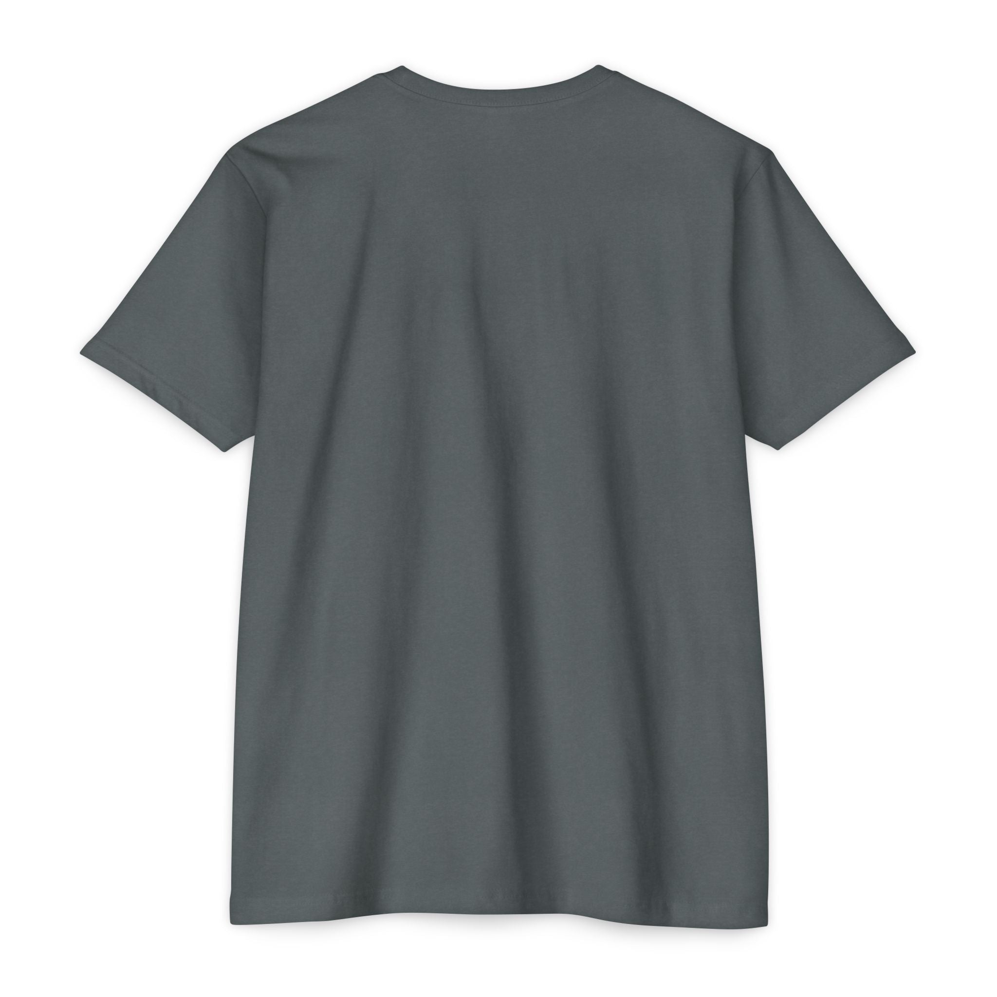 Anime Pillowgirl T-Shirt — Sexy Lingerie Art Tee